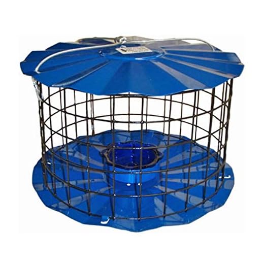 Erva Squirrel-Proof Bluebird Feeder
