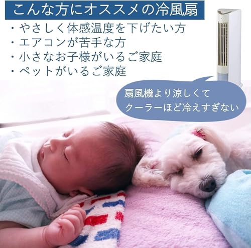 山善(YAMAZEN) 冷風扇 FCR-D409(WC) の商品画像 2