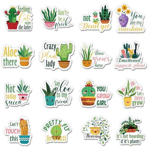 Imanes decorativos de plantas Kanayu 16 piezas