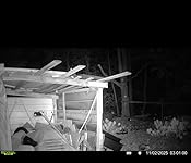 Review Image by Amazon Customer Amazon Customer