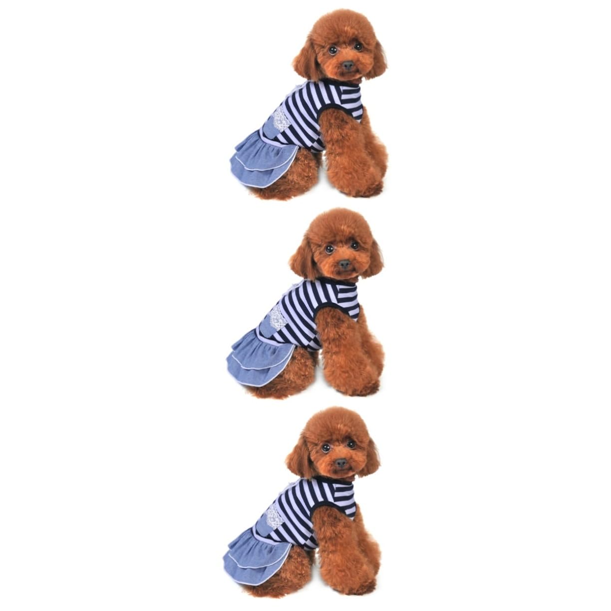 Robe pour chien Kisangel parfait ensemble de 3 vêtements animaux de compagnie pour séance photo