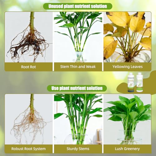 Nutriente Líquido para Plantas Hidropónicas 250ml miniatura 4