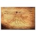 Airmark Rompecabezas de 1000 Piezas,Rompecabezas de imágenes,Foto del Hombre de Vitruvio de Leonardo Da Vinci de,Juguetes Puzzle for Adultos niños Interesante Juego Juguete Decoración para El Hogar