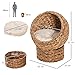 PawHut Woven Banana Leaf Elevated Cat Bed Wicker Kitten Basket Pet Den....