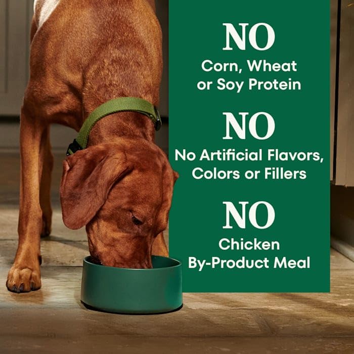 Image of Nutro Natural Choice Adult Dry Dog Food, Lamb & Brown Rice Recipe, 30 lb