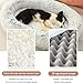 RUYICZB Dog Bed Washable Memory Foam Orthopedic Dog Beds for Large Dogs Cozy Plush Dog Sofa with Non-Skid Bottom Bolster Pet Couch for Medium Small Dogs/Puppy Calming Sleeping,White,XXL