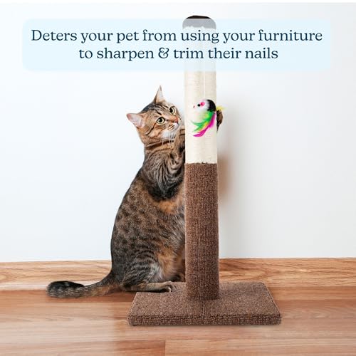PETMAKER Cat Scratching Post - Tall Scratcher for Cats and Kittens with Sisal Rope and Carpet, Hanging Mouse Toy for Interactive Play (24.5 Inch) - Image 5