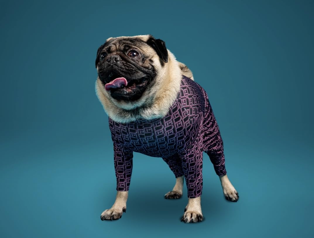 Pooch Mode Monogram Onesie (Small)