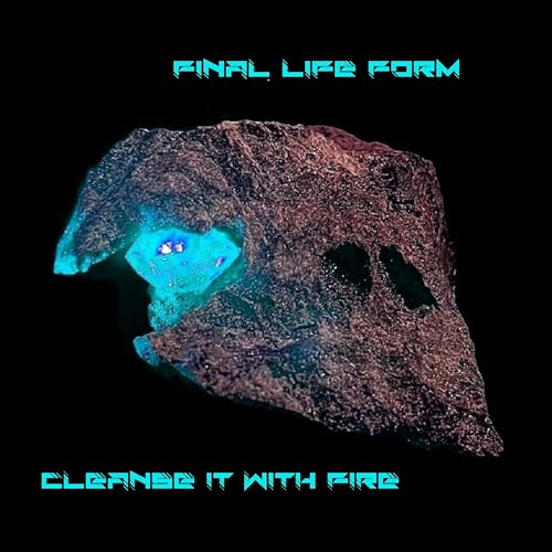 Cleanse it with Fire