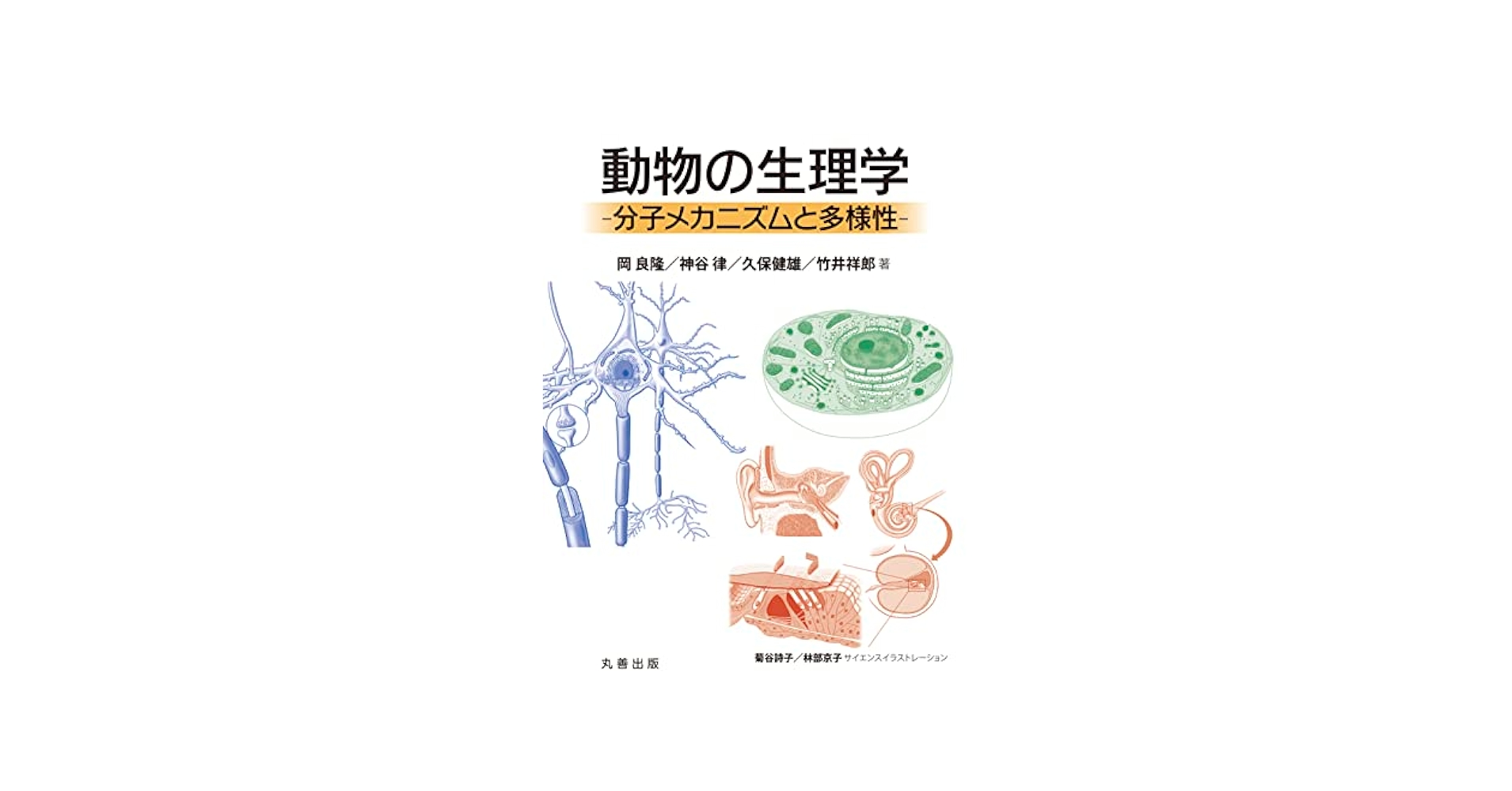 Amazon.co.jp: 動物の生理学 eBook : 岡良隆, 神谷律, 久保健雄