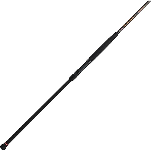 PENN Squadron III Surf Spinning Fishing Rod