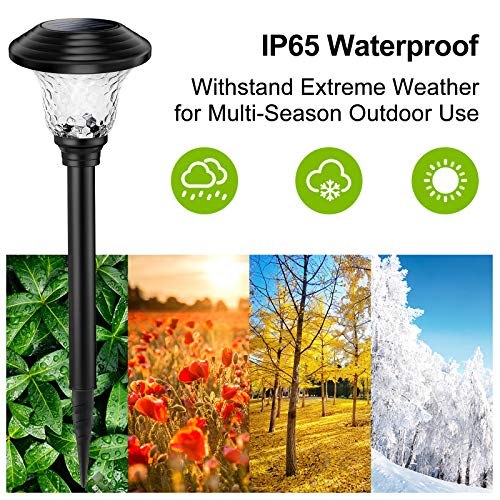 Balhvit Glass Solar Lights Outdoor, 4 Pack Super Bright Solar Pathway Lights, Up to 12 Hrs Long Last Auto On/Off Garden Lights Solar Powered Waterproof, Stainless Steel LED Landscape Lighting for Yard
