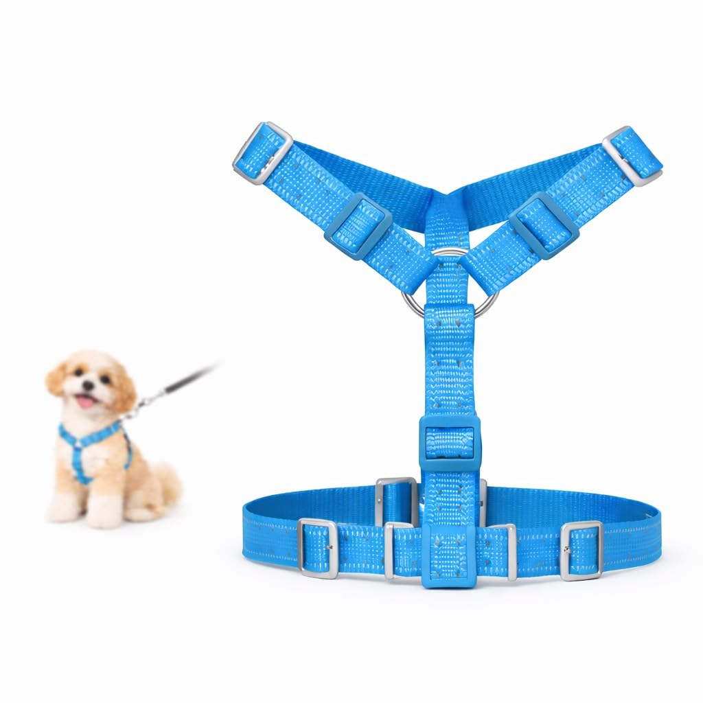 Adjustable No Pull Dog Harness Vest for Walking and Training with Front and Back Leash Clips, Breathable Padded Comfort Chest Vest, Easy Control Pet Walking Gear for Small Medium Dogs (Blue)