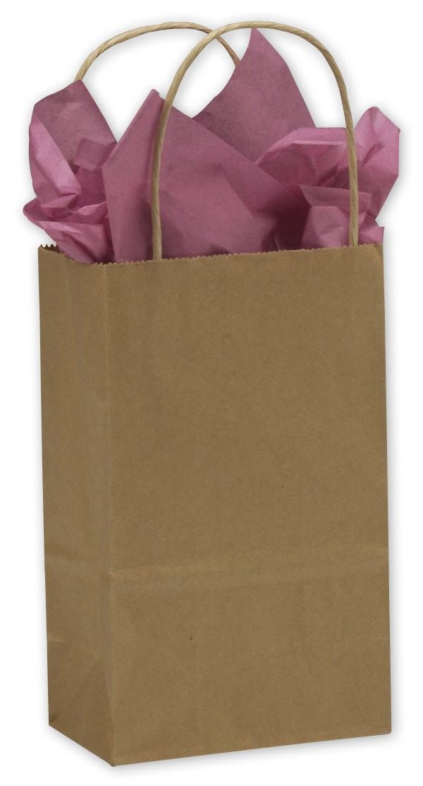 EGPChecks Kraft Paper Shoppers 250 bags 5.25 x 3.5 x 8.875