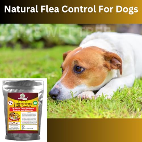 Image of Diatomaceous Earth Powder | 100% Organic Pest Control for Home Garden | Bed Bugs, Cockroach Killer & Ant Repellent for Home | Flea Control for Dogs & Other Pet Animals (1.8)