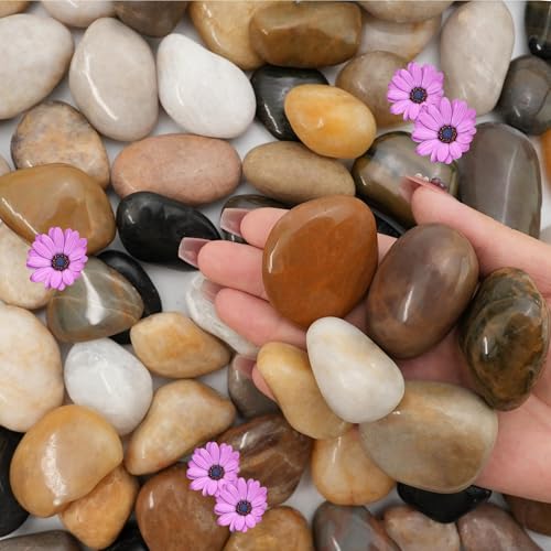 NUPICK 16lb Mix River Rocks