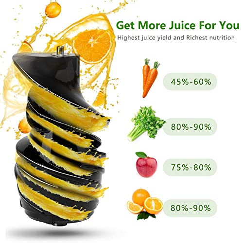 Taylor Swoden 200W Cold Press Juicer 3.4in Large Feed Chute Slow Masticating Juicer BPA-Free Juice Extractor with Quiet Motor, Easy to Clean, Recipes for Fruit, Vegetable and Sorbet