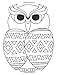 Daily Planner Journal: 365 + Days Bullet Journaling Blank Notebook with sections for date, time, notes, lists & doodles! 8.5 x 11 size, 380 pages, ... Owl (Color the Cover Planners) (Volume 7)
