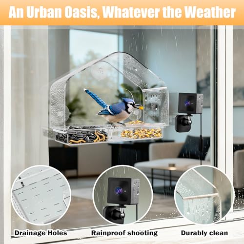 RichBird 2K Smart Camera Window Bird Feeder w/ AI Bird Identification - image 2