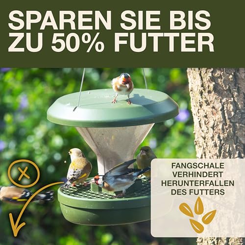 SWISSINNO Vogelfutterhaus zum Aufhängen – Davos SMART Birds - Vogelfutterspender mit Auffangschale - Futterstation für Vögel - Futtersilo Rattensicher - Vogelhaus für Garten & Balkon - Grün