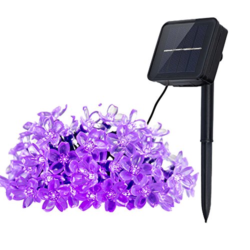 Innoo Tech Solar Outdoor String Lights 21ft 50 LED Purple Blossom Christmas...