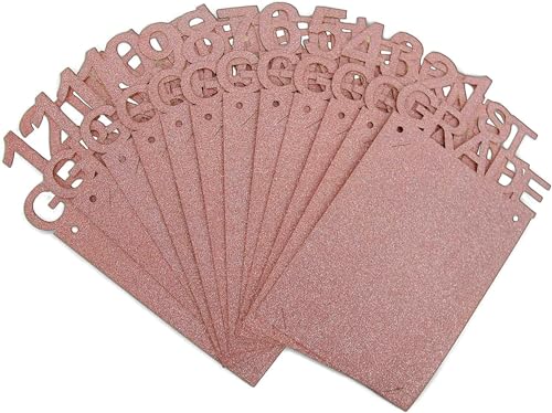 Image of Graduation Decorations 2026 2027 Photo Banner Class of 2026 K-12 Picture Display High School College Grad Party Supplies Pink 4X6 SG063PK