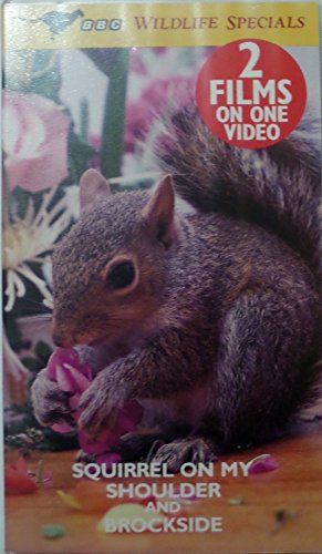 Amazon.com: Squirrel on My Shoulder / Brockside [VHS] : Movies & TV