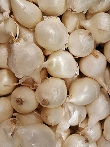 Semi Di Cipolla Bianca Di Maggio - Confezione Da 300 Semi, Semina Da Agosto A Settembre