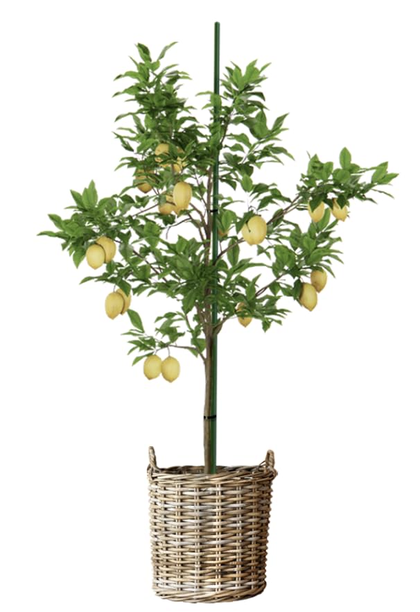 Roither Markierungsstab/Pflanzstab dunkelgrün - 8mmx150cm (100 STK.) - Fiberglas, Geradlinig, Grün
