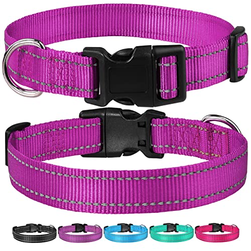 Reflective Dog Collar with Buckle Adjustable Safety Nylon Collars for Small Medium Large Dogs, Purple M