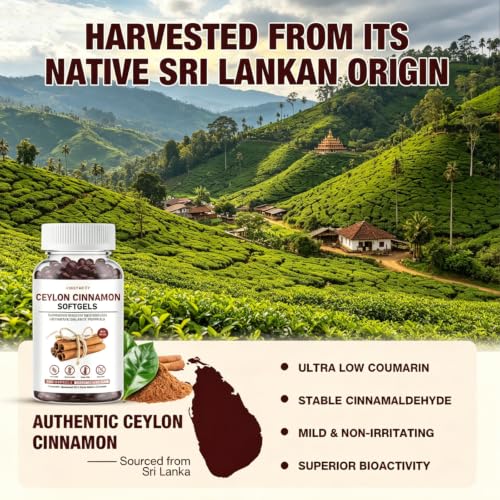 ASISTNETY Ceylon Cinnamon Capsules with MCT Oil