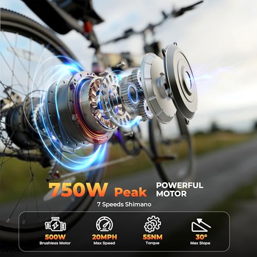 FLYRUN Folding Electric Bike