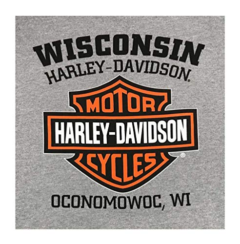 Harley-Davidson Men's Hooded Sweatshirt, Willie G Skull, Gray Hoodie 302966542
