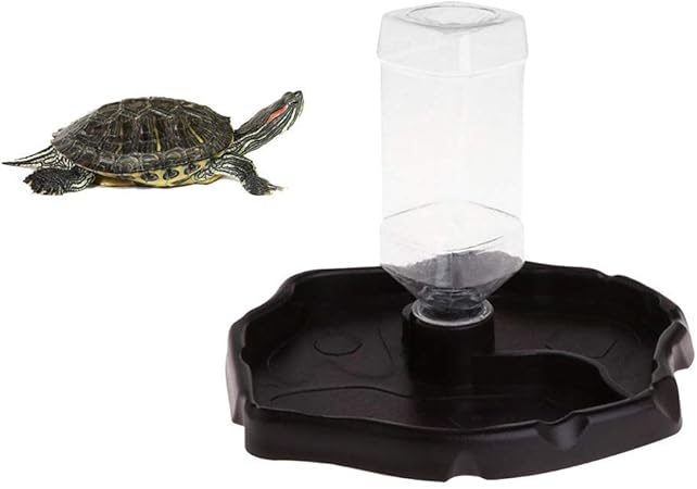 automatic tortoise feeder