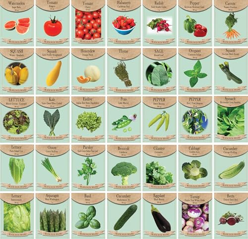 Set of 35 Premium Variety Herbs and Vegetables - Deluxe