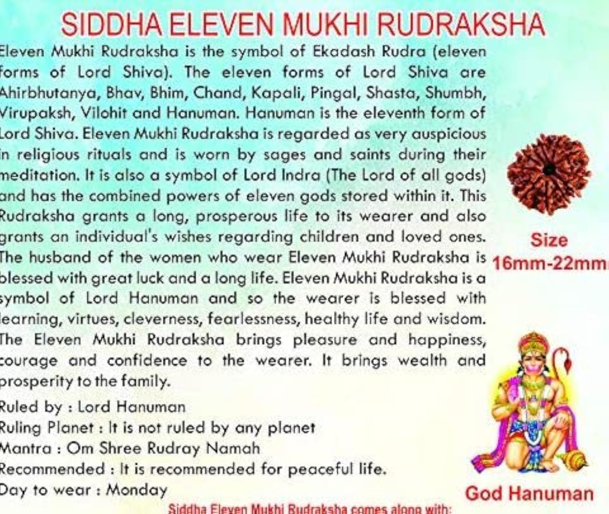 11 Mukhi Eleven Faced Rudraksha Silver Plated Pendant