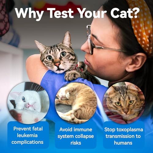 Image of 3-in-1 Cat Health Monitoring Card - Track Wellness Trends at Home, Quick & Easy Analysis