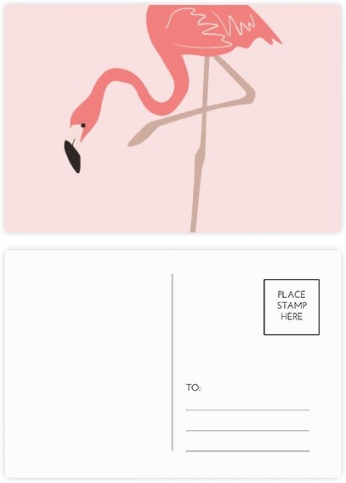 Standing Flamingo Pattern Postcard Set Birthday Thanks Card Mailing Side 20pcs