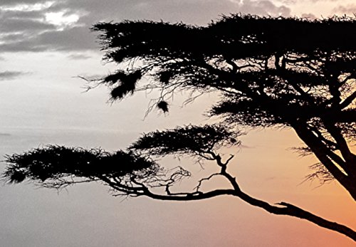 murando Schilderij op vlies canvas Afrika 200x100 cm XXL Print Wandschilderij 5 delen Foto Grafiek Fotografie Wanddecor - Landschap Dieren Olifant g-C-0054-b-o - Afbeelding 6