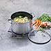 GreenPan Elements Non-Stick Stockpot with Lid, Silver