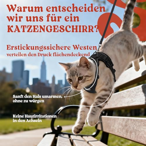 rabbitgoo Katzengeschirr mit Leine Softgeschirr für Katze Brustgeschirr Cat Harness Katzengarnitur Ausbruchsicher Verstellbar Katzenweste Schwarz XS