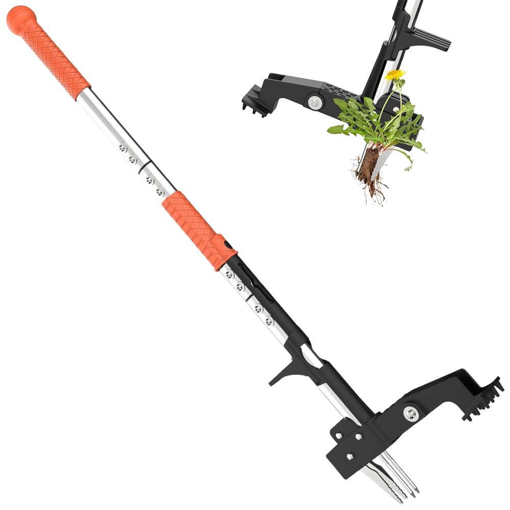 Desherbeur Manuel, 100cm Arrache Pissenlit, Arrache Mauvaise Herbe avec 4 Griffes en INOX et Pédale, Outil de Jardin Facile à Enlever Les Racines avec Poignée en