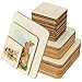 Price comparison product image Meetory 42PCS Unfinished Blank Wood Squares, Pyrography Wood Blanks 3 Sizes Square Wooden Tags Craft Wood for DIY Coasters, Pyrography Art, Painting, Christmas Home Decoration DIY(10cm,8cm,5cm)