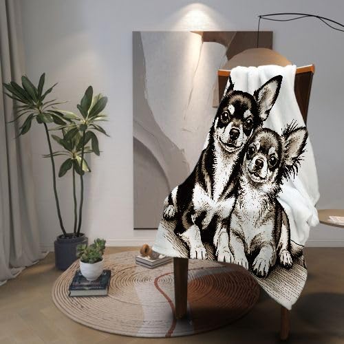 Couverture Polaire 240 x 260 Animal Chien, Couverture Polaire Grande Taille 240x260 cm | Usage Multiple comme Couette d'Appoint, Assure Une Protection Contre Le Froid I15-