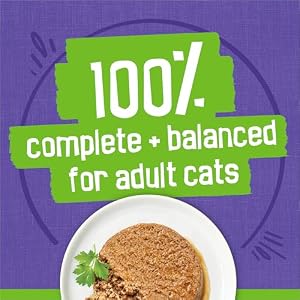 Purina Friskies Pate Wet Cat Food Variety, Seafood & Chicken, (40) 5.5 oz — photo 5 of 6