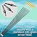 31 inch Pure Carbon Arrows - Archery Targeting Arrows with 4