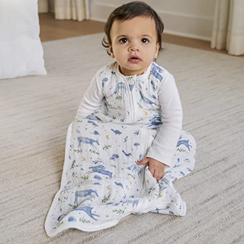 Image of aden + anais Baby Sleeping Bag, Wearable Swaddle Blanket for Girls & Boys, Newborn Sleep Sack, Breathable & Lightweight