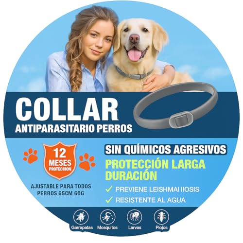 Collar antiparasitario Perros pequeños medianos y Grandes | antipulgas, Garrapatas y Mosquitos | Previene Leishmaniosis | Protección Natural Sin Químicos | Ajustable, Impermeable