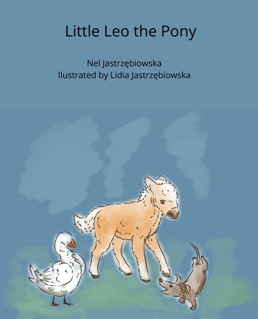 Little Leo the Pony