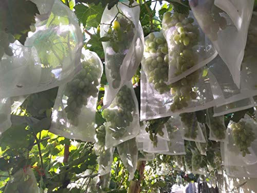 Vianyer 40PCS Netting Bags Fruits Protect Nylon Mesh Barrier Bags 20PCS Plant Support Clips 1 Pack Plant Twist Tie for Garden Vegetable Flower Vine Tomato Grape Figs Cucumber Zucchini Lily Hydrangeas